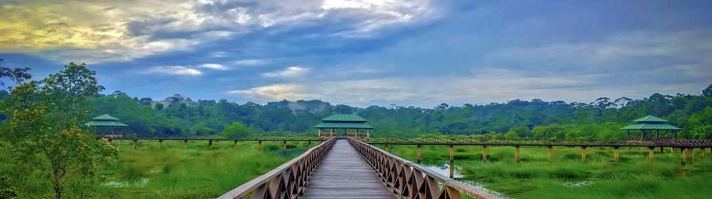 /Slider_images/TAMAN REKREASI HUTAN LUAGAN LALAK 3A.jpg